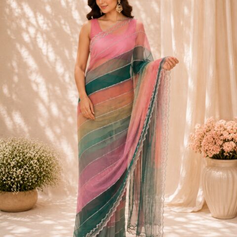 Noor Pastel Net Saree