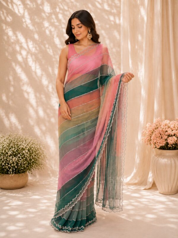 Noor Pastel Net Saree