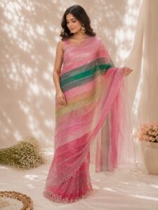 Noor Pastel Net Saree